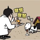 오가네 순대국 이미지