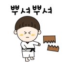 왕성태권도장 이미지