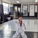 엠제이 태권도장 이미지