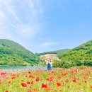 월곡마을회관 이미지