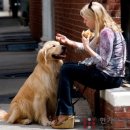 한가람동물의료센터 이미지