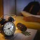 분당다원동물병원 이미지