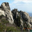 꽃다락 - 서산시 중앙로 102 | 꽃다락