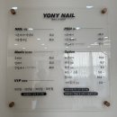 요니네일 이미지