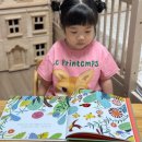 하이슈슈 | 책육아가 더 즐거워지는 블루래빗 토끼책방 세계창작그림책