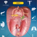 늘푸른한의원 이미지