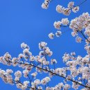 (주)다올 | 신년운세, 궁합, 타로 볼수 있는 미사사주 점집 천지인 구 다올 후기