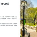강남아파트(5동 앞)