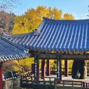 은행나무로(송현동) 이미지