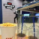 빽다방목포평화 | [소소한 일상] CGV 목포평화광장에서 만달로리안과 그로구 관람 후기(쿠키 유무 확인, 스포없음)