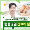 슬기로운 동물병원 이미지