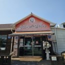 옹심이 칼국수 언양점 | 선바위 자전거길 따라 간 맛집 [옹심이메밀칼국수] + [카페이밤]