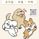 개스트하우스 청주점 이미지