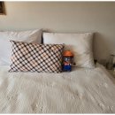 필링펜션 이미지