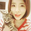 알콩달콩 이미지