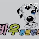 바우동물병원 - 안성시 공도로 50 | 바우동물병원