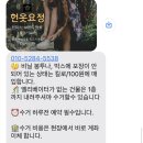 리싸이클스마일 네이버블로그
