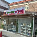 문학동애견미용 잘하는 곳 [콩깍지공방 애견미용] 후기 (+주문제작인형)