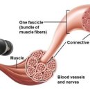 B&R휘트니스 이미지