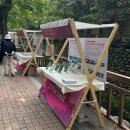 무등산 등산 후기(증심사~중머리재~중봉~장불재~하산)