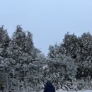 제주스테이대흘 이미지