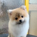 큐티살롱 이미지