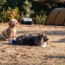 마실휴양농원 이미지