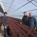 망성농협 이미지