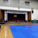 용인대성민태권도 이미지