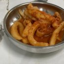 현대애견 이미지