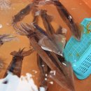 대아울릉리조트펜션 이미지