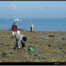 장고도2 이미지