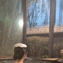 고로케팩토리 | 버스투어, 쿠사센리, 나카다케 화구, 아소 신사, 몬젠마치 상점가, 밀크팩토리, 대관봉, 쿠로카와소 료칸