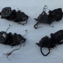 붕붕카닥터부분정비 이미지