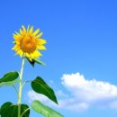 목화한의원 이미지