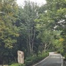 대운산 자연휴양림 캠핑장 | 대운산자연휴양림 야영장 방문후기 &amp; 58번 데크정보