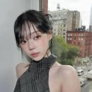 애니미용실 - 춘천시 | 애니미용실