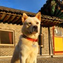 심덕농장 이미지