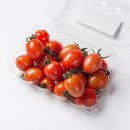 준' 스테비아 | 일반 토마토 열량, 스테비아 방울토마토 칼로리 차이, 토마토 제철은? 간식 추천 후기