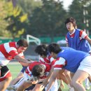 원광대체육관 앞 이미지