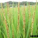 오색농장 이미지