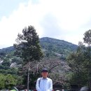누이덴