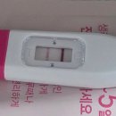 2024 온마을 플리마켓 오후팀(2시~4시) | 임신일기) 4~10주_내가 임신?! 임산부는 뭐먹고 지내야하나~