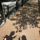 고양2교앞 | 2년만의 북한산 등반 리얼 후기💦, 북한산 대성문 코스 추천