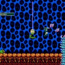 드래곤 FIGHTER 이미지