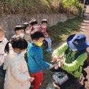 신미주2관어린이집 이미지