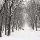 제이드 펜션 이미지