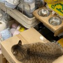 에덴골목시장 이미지