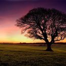 우수목장 이미지