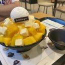 설빙제천하소점 | [충북/제천] 하소동 설빙 매장에서 먹은 애플망고치즈설빙 솔직후기